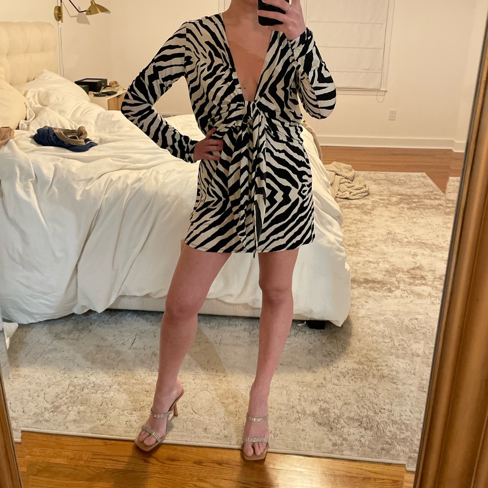 Rat and Boa Zebra Dress
